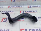 Патрубок воздушного фильтра Lada Vesta 8450032994