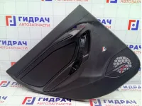 Обшивка двери задней левой Lada Vesta 8450006536