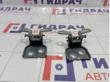 Петли двери задней левой Lada Vesta