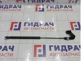 Амортизатор капота правый Lada Vesta 8450008940