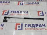 Амортизатор капота левый Lada Vesta 8450008940