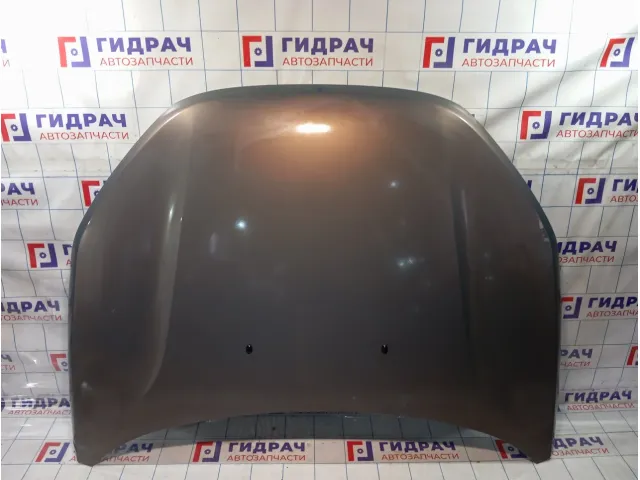 Капот Lada Vesta 8450039378