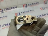 Клапан кондиционера Lada Vesta 8450039727