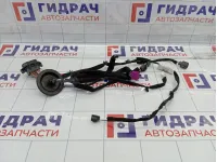 Проводка двери передней левой Lada Vesta 8450034187