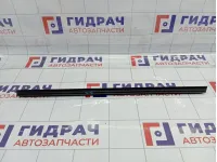 Уплотнитель стекла задней правой Lada Vesta 8450007853