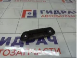 Ручка двери багажника внутренняя Lada Vesta 8450007640