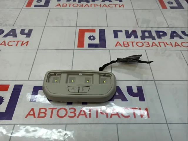 Плафон салонный Lada Vesta 8450030708