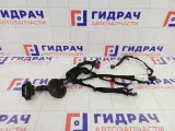 Проводка двери передней левой Lada Vesta 8450034188