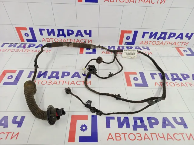 Проводка двери задней Lada Vesta 8450033388