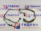 Проводка двери задней Lada Vesta 8450033388
