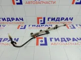 Топливная рампа (топливная рейка) Lada Vesta 211291144010