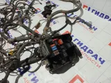 Проводка подкапотная Lada Vesta 8450034125