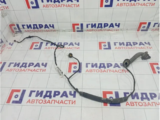 Проводка двери задней Lada Vesta 8450033389
