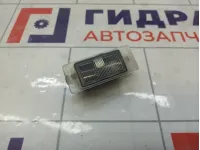 Фонарь подсветки номера Lada Vesta 11183717010