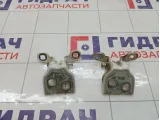 Петли двери задней правой Lada Vesta