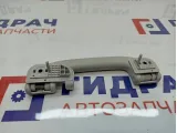 Ручка внутренняя потолочная Lada Vesta Cross 8450031973. Левая.