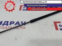 Амортизатор двери багажника Lada Vesta Cross 8450008940.