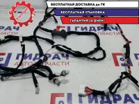 Проводка задней двери Lada Vesta Cross 8450033379.