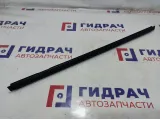 Уплотнитель стекла двери передней левой Lada Vesta Cross 8450007727.