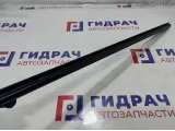 Уплотнитель стекла двери передней левой Lada Vesta Cross 8450007727.