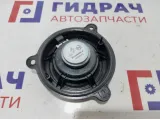 Динамик задний Lada Vesta Cross 281444522R.