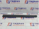 Накладка двери наружная передней правой Lada XRAY Cross 8450021074