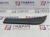 Накладка двери наружная задней левой Lada XRAY Cross 8450021077