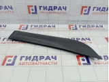 Накладка двери наружная задней правой Lada XRAY Cross 8450021076