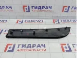 Накладка двери наружная задней правой Lada XRAY Cross 8450021076