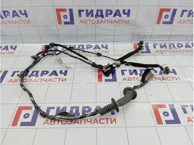 Проводка двери передней правой Lada XRAY Cross 8450021758