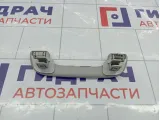 Ручка потолочная внутренняя передняя Lada XRAY Cross 739410013R