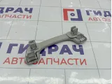 Ручка потолочная внутренняя передняя Lada XRAY Cross 739410013R