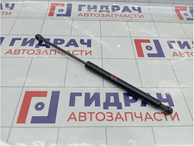 Амортизатор крышки (двери) багажника Lada XRAY Cross 904524809R