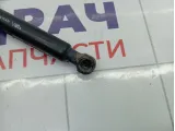 Амортизатор крышки (двери) багажника Lada XRAY Cross 904524809R
