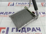 Радиатор отопителя (печки) Lada XRAY Cross 8450039726