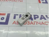 Клапан кондиционера Lada XRAY Cross 8450022030