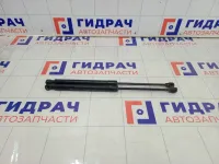 Амортизатор крышки (двери) багажника Lada XRAY 904524809R