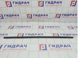 Накладка стекла двери задней левой Lada X-Ray Cross 828214308R. Наружняя.