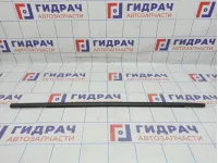 Накладка стекла двери задней левой Lada X-Ray Cross 828214308R. Наружняя.