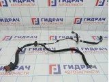 Проводка двери задней левой Lada X-Ray Cross 241267200R.