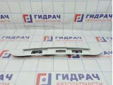 Накладка двери багажника Lada X-Ray Cross 848104260R.