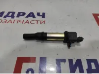 Катушка зажигания Lada X-Ray Cross 2112370501015. Катушка зажигания Lada X-Ray Cross 2112370501015.