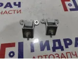 Петли двери багажника Lada X-Ray Cross . Комплект.