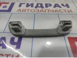 Ручка внутренняя потолочная Lada X-Ray Cross 739410013R. Передняя.