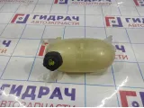 Бачок расширительный Lada X-Ray Cross 8450009504.