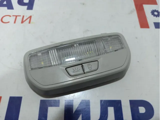 Плафон салонный задний Lada X-Ray Cross 8450030708. Дефект.