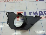 Рамка противотуманной фары левой Lada X-Ray Cross 8450021104.