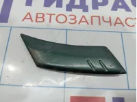 Молдинг заднего крыла левого Toyota Land Cruiser 100 75744-60010