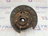 Кулак поворотный задний левый Land Rover Freelander II (L359) LR006963