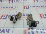 Петли двери багажника Land Rover Freelander II (L359)